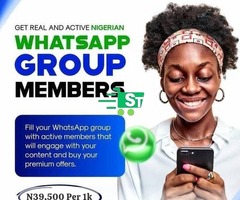 Active Nigerian WhatsApp, Telegram Group Members (100% Verified)